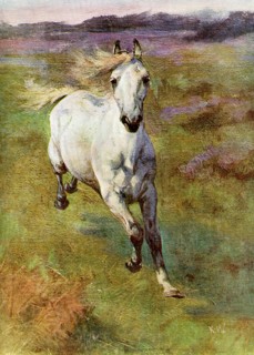 'Study from Life for 'Colt Hunting in the New Forest'', 1899. Artist: Unknown