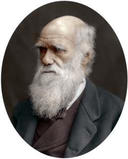 Charles Darwin, British naturalist, 1878. Artist: Unknown