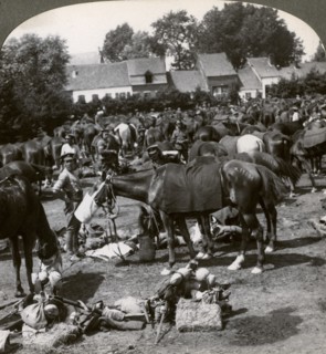 Troops feeding their horses and resting on the march, World War I, 1914-1918.Artist: Realistic Travels Publishers