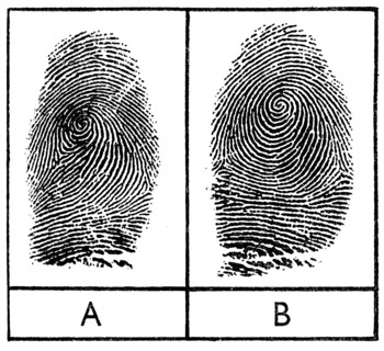 Fingerprints of identical twins, 1956. Artist: Unknown
