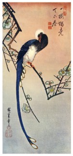 'Long Tailed Blue Bird on Branch of Plum Tree in Blossom', 19th century (1925). Artist: Unknown