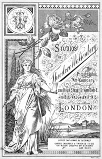 Back of a photograph promoting the studio of Theodore Waltenberg, c1890-1909(?). Artist: Unknown