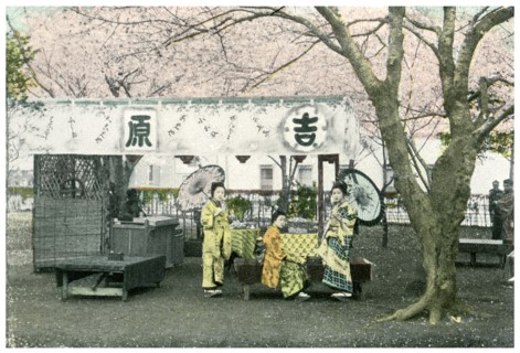 Lunch stand in a public park, Japan, 1904. Artist: Unknown