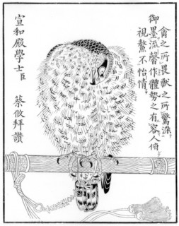 Falcon, 1886. Artist: Unknown