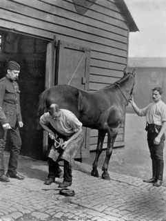 The Farrier-Major of the Royal Horse Guard, 1896.Artist: Gregory & Co