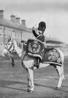 'Plum Duff', the drum-horse of the Royal Scots Greys, 1896. Artist: Gregory & Co