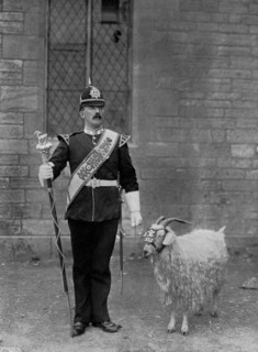 The Drum Major and goat of the 1st Battalion the Welch Regiment, 1896. Artist: WM Crockett
