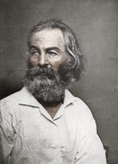 Walt Whitman, American poet, c1880s.Artist: Mathew Brady