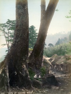 Hata at Hakone Road, Japan, early 20th century(?). Artist: Unknown