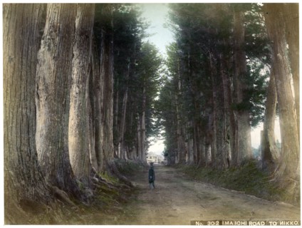 Imaichi Road at Nikko, Japan, early 20th century(?). Artist: Unknown
