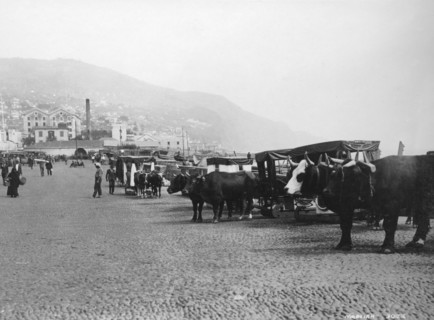 Bullock carriages, Madeira, Portugal, c1920s-c1930s(?). Artist: Unknown