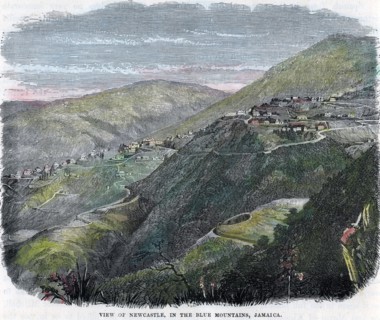 'View of Newcastle, in the Blue Mountains, Jamaica', c1880. Artist: Unknown