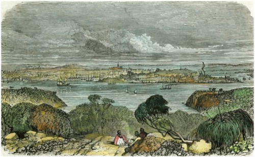 Sydney, New South Wales, Australia, c1870. Artist: Unknown