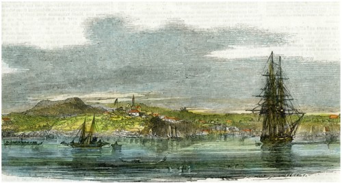 Auckland, New Zealand, c1880. Artist: Unknown