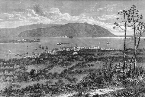 Kingston Harbour, Jamaica, c1880. Artist: Unknown