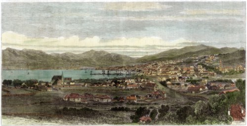 The town and port of Wellington, capital of New Zealand, c1880. Artist: Unknown