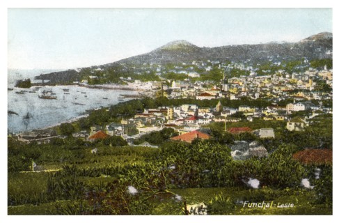 Funchal, Madeira, early 20th century(?). Artist: Unknown