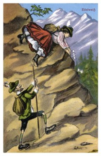 'Edelweiss', late 19th or early 20th century(?). Artist: Unknown