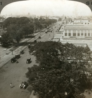 Chowringhee Road, Calcutta, India, c1900s(?).Artist: Underwood & Underwood
