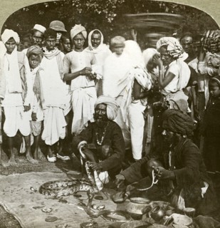 Snake charmer, Calcutta, India, c1900s(?).Artist: Underwood & Underwood