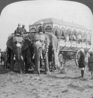 Richly adorned elephants and carriage of the Maharaja of Rewa at the Delhi Durbar, India, 1903. Artist: Underwood & Underwood