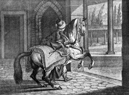 Turkish Sultan's Arabian saddle horse, 1722, (1938). Artist: Unknown