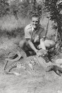 Chaplin Court Treatt's leopard, Abercorn to Tukuyu, Tanganyika, 1925 (1927). Artist: Thomas A Glover