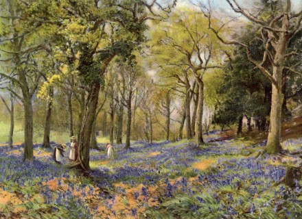 'Wild Hyacinths in a Surrey Copse', 1906. Artist: Unknown