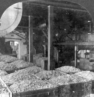 Making paper from rags, Holyoke, Massachusetts, USA, 20th century. Artist: Keystone View Company