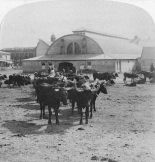 Building in which prisoners of war were tried, Pretoria, South Africa, Boer War, 1901. Artist: Underwood & Underwood