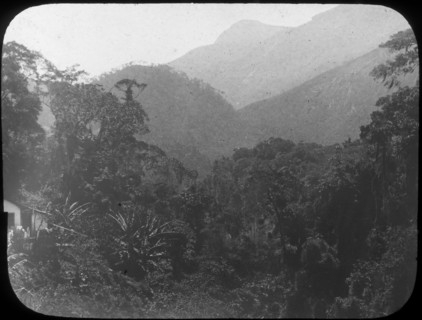 Near Petrópolis, Rio de Janeiro, Brazil, late 19th or early 20th century. Artist: Unknown