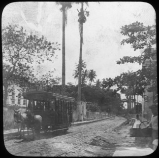 Street scene with horse-drawn tram, Pernambuco, Brazil, late 19th or early 20th century. Artist: Unknown