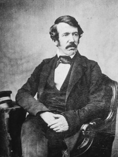 David Livingstone, Scottish missionary and explorer, 19th century. Artist: Unknown