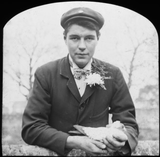 E Hack holding a pigeon, late 19th or early 20th century. Artist: Unknown