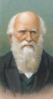 Charles Darwin (1809-1882), British naturalist, 1924. Artist: Unknown