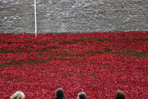'Blood Swept Lands and Seas of Red', Tower of London, 2014.  Artist: Sheldon Marshall