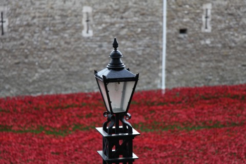 'Blood Swept Lands and Seas of Red', Tower of London, 2014.  Artist: Sheldon Marshall