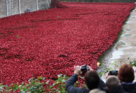 'Blood Swept Lands and Seas of Red', Tower of London, 2014.  Artist: Sheldon Marshall
