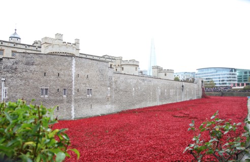 'Blood Swept Lands and Seas of Red', Tower of London, 2014.  Artist: Sheldon Marshall