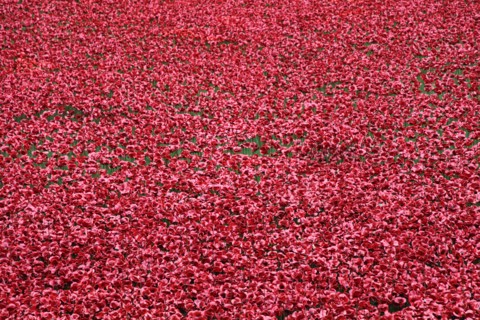 'Blood Swept Lands and Seas of Red', Tower of London, 2014.  Artist: Sheldon Marshall