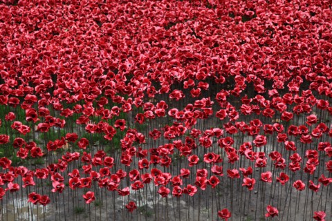 'Blood Swept Lands and Seas of Red', Tower of London, 2014.  Artist: Sheldon Marshall