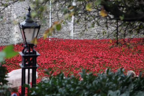 'Blood Swept Lands and Seas of Red', Tower of London, 2014.  Artist: Sheldon Marshall