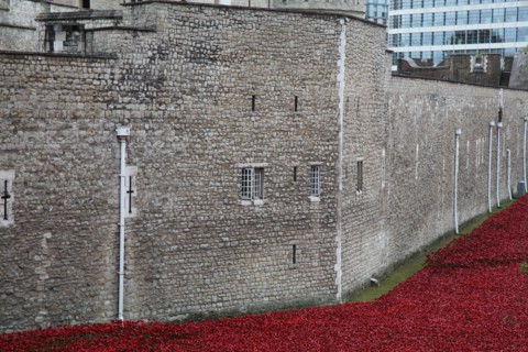 'Blood Swept Lands and Seas of Red', Tower of London, 2014.  Artist: Sheldon Marshall