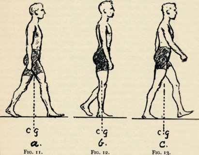 Depicting Main Principles of Locomotion, 1940. Artist: Unknown