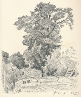 Study of Trees, c1839-1898, (1898). Artist: Henri-Joseph Harpignies