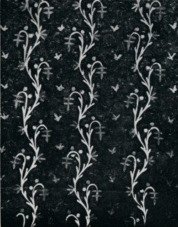 DELETE - NOT TO BE CATALOGUED
