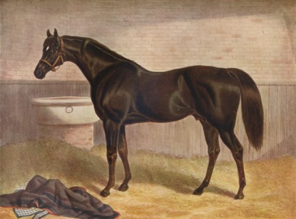 'Gladiator', 19th century. Artist: John Frederick Herring I.