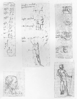 Five drawings illustrating the theory of the proportions of the human figure, c1472-c1519 (1883). Artist: Leonardo da Vinci.