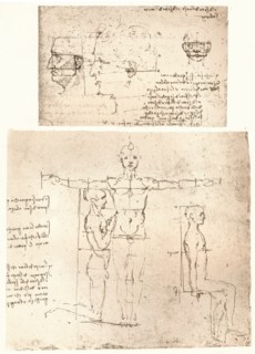 Two drawings illustrating the theory of the proportions of the human figure, c1472-c1519 (1883).  Artist: Leonardo da Vinci.