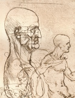 Drawing illustrating the theory of the proportions of the human figure, c1472-c1519 (1883). Artist: Leonardo da Vinci.